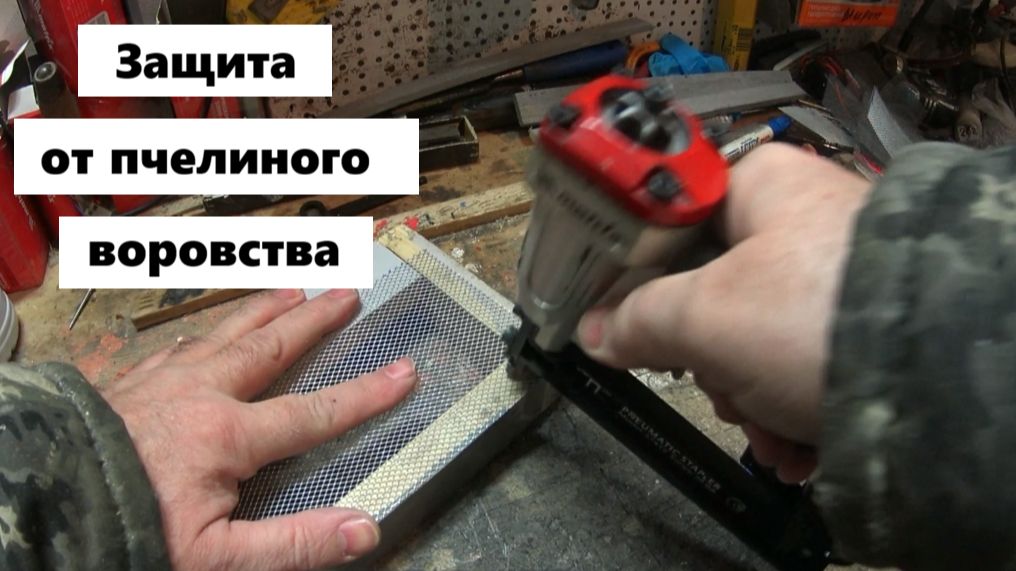 Изготовление экранов от пчёл-воровок и ос. смотреть онлайн