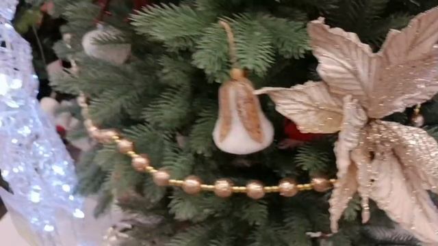 #предновогодняя красота в Брянске в оби смотреть онлайн