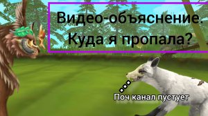 Видео-объяснение. Куда я пропала. Я ВЕРНУЛАСЬ. История (не выдумка) от египетской рыси Wildcraft
