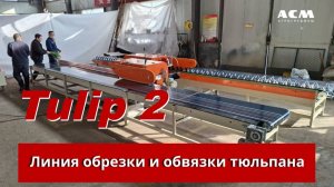 Линия сортировки, обрезки и обвязки тюльпана Tulip 2