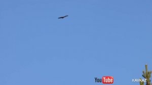 КАК ПРИГОТОВИТЬ ВКУСНОЕ МЯСО С ОВОЩАМИ НА КОСТРЕ?