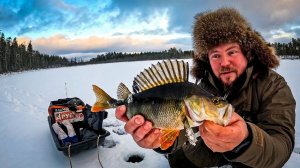 ВОТ ЭТО РЫБАЛКА. ЛЕСНОЕ ОЗЕРО ДАРИТ ТРОФЕИ. ПОЙМАЛ МЕШОК РЫБЫ. РЫБАЛКА НА БАЛАНСИР НА ЛЕСНОМ ОЗЕРЕ.