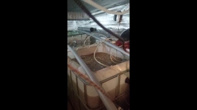 Установка уф-лампы в домашнее узв смотреть онлайн