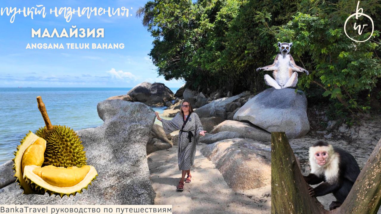 Пенанг Angsana Teluk Bahang Penang. Полный обзор отеля в Малайзии смотреть онлайн