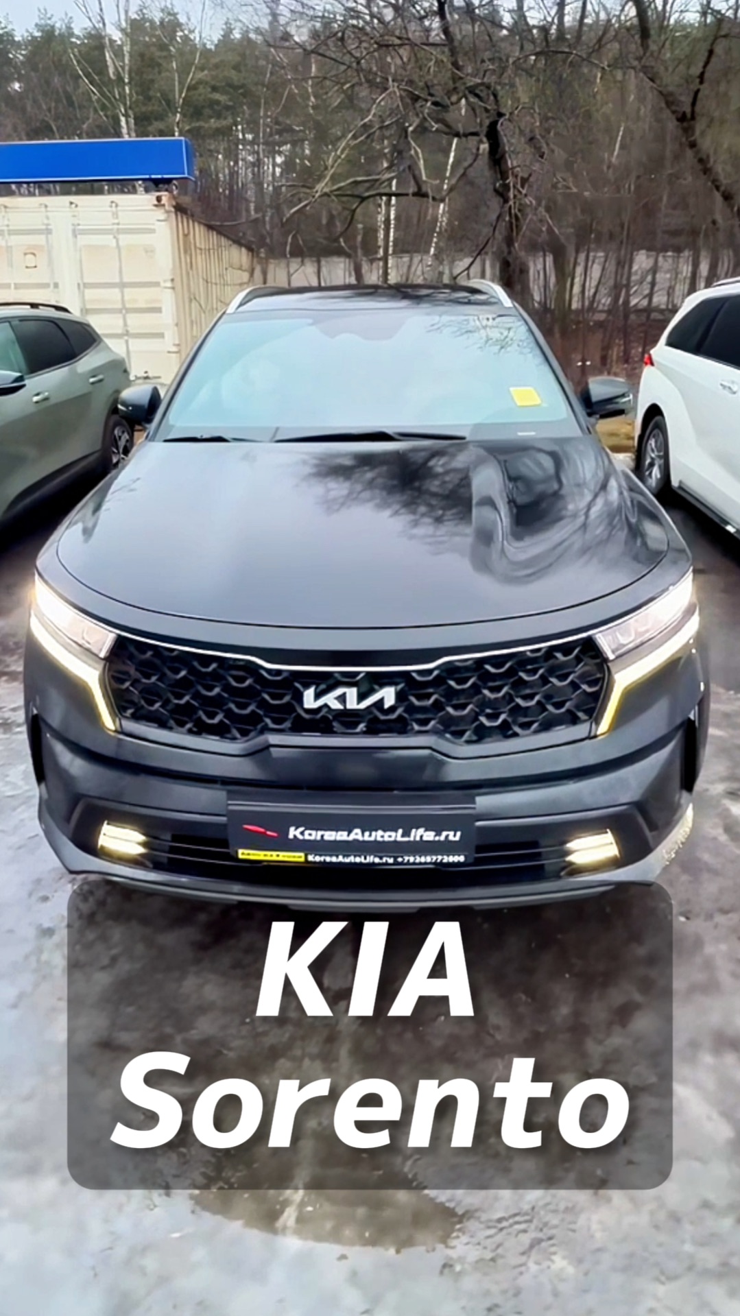 KIA Sorento на заказ из Кореи смотреть онлайн