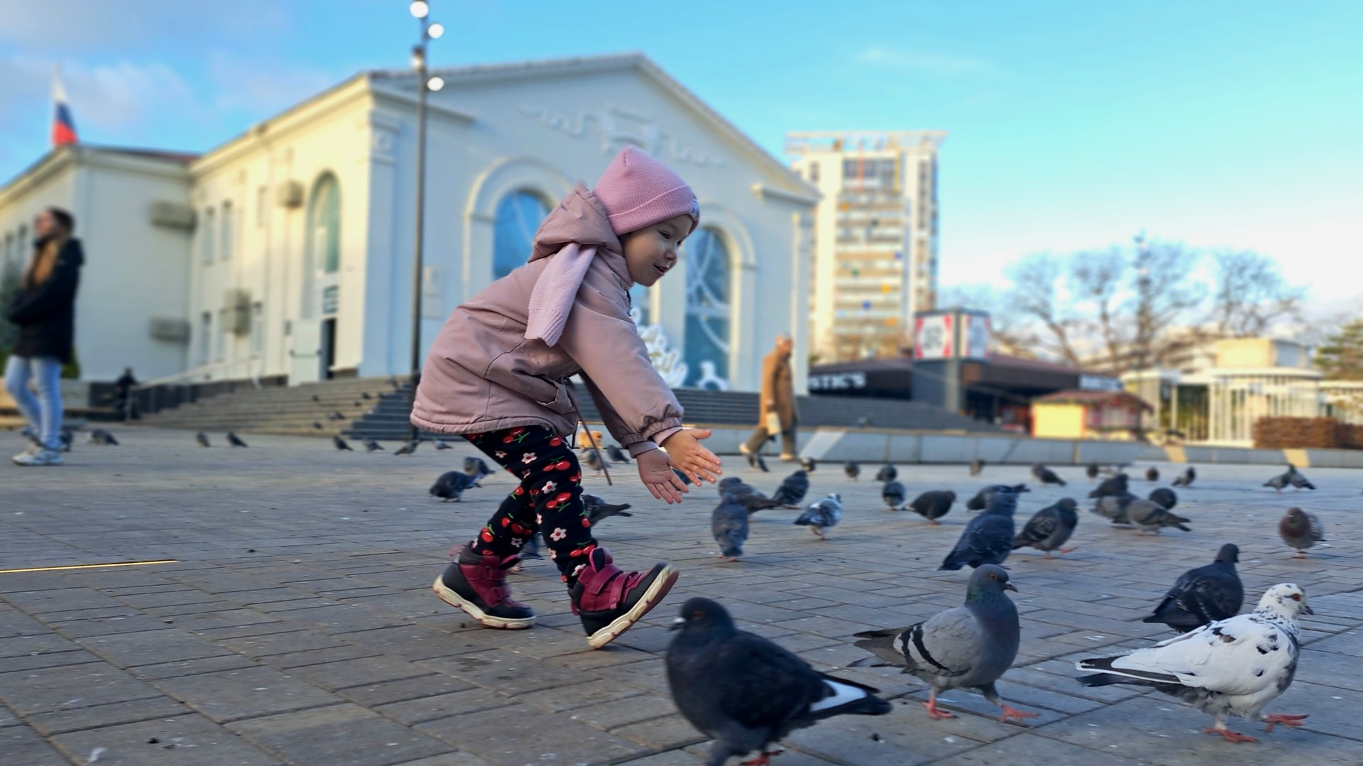 Преследует голубей🐦 смотреть онлайн