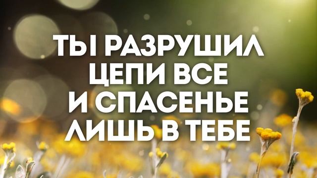 ЖИВАЯ НАДЕЖДА | 🎤 ХРИСТИАНСКОЕ КАРАОКЕ С ТЕКСТОМ смотреть онлайн