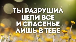 ЖИВАЯ НАДЕЖДА | 🎤 ХРИСТИАНСКОЕ КАРАОКЕ С ТЕКСТОМ