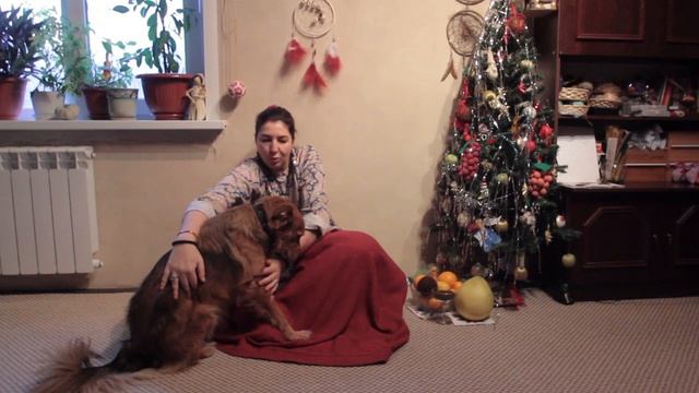 Рыжий и любовь