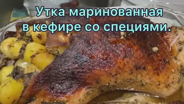Утка маринованная в кефире со специями смотреть онлайн