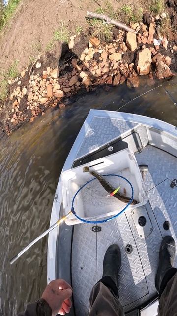 УХ ТЫ как поймал ЩУКУ!!! смотреть онлайн