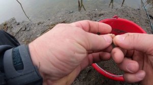 ФИДЕРНАЯ РЫБАЛКА НА СТОЯЧЕМ ВОДОЕМЕ. ЛОВИМ-ЧТО КЛЮЕТ. ВРЕМЯ ДАЕТ О СЕБЕ ЗНАТЬ.