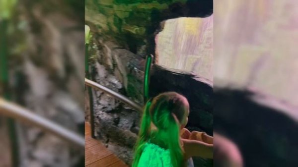 Мир у твоих ног - Аделина и Мирослав Молодых