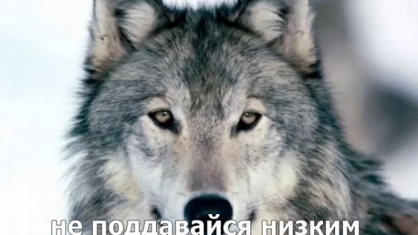 Garik Garik — А вы не лезьте в мою душу (субтитры)