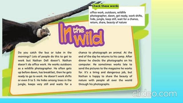 Starlight 5 In The Wild P. 46 (module3)