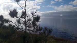 video_2025-12-19_08-15-08