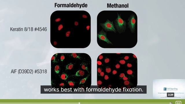 3 Questions смотреть онлайн