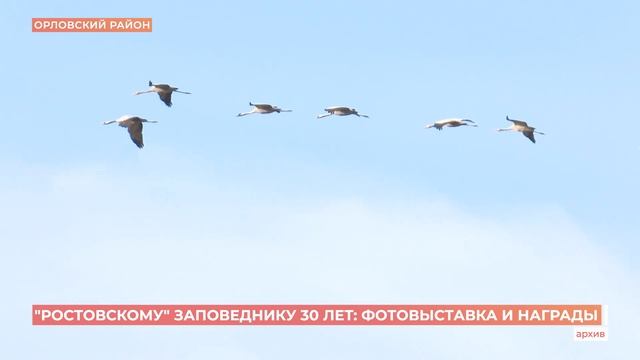 "Ростовскому" заповеднику 30 лет: фотовыставка и награды смотреть онлайн