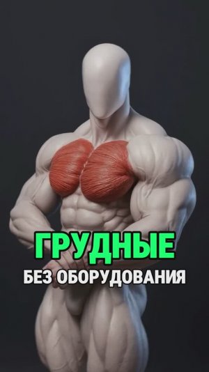 Грудные без оборудования