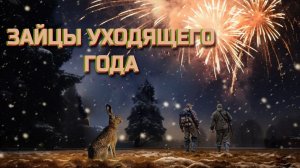 ЗАЙЦЫ УХОДЯЩЕГО 2025 ГОДА. Охота на зайца-русака сезона 2025-2026 гг.