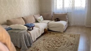 ВЛОГ ! Едим ДОШИРАК всей СЕМЬЁЙ ! МАМА ОТЛИЧНИКА покидает АНАПУ ! СИНДИ съела СКРЕПЫШИ ! Батя Лёша