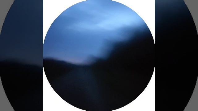 Меня искусали мухи смотреть онлайн