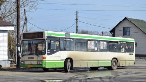 Автобус Mercedes-Benz O405N (АН 625 22). Покатушки по Барнаулу / Ride on the Mercedes-Benz O405N bus
