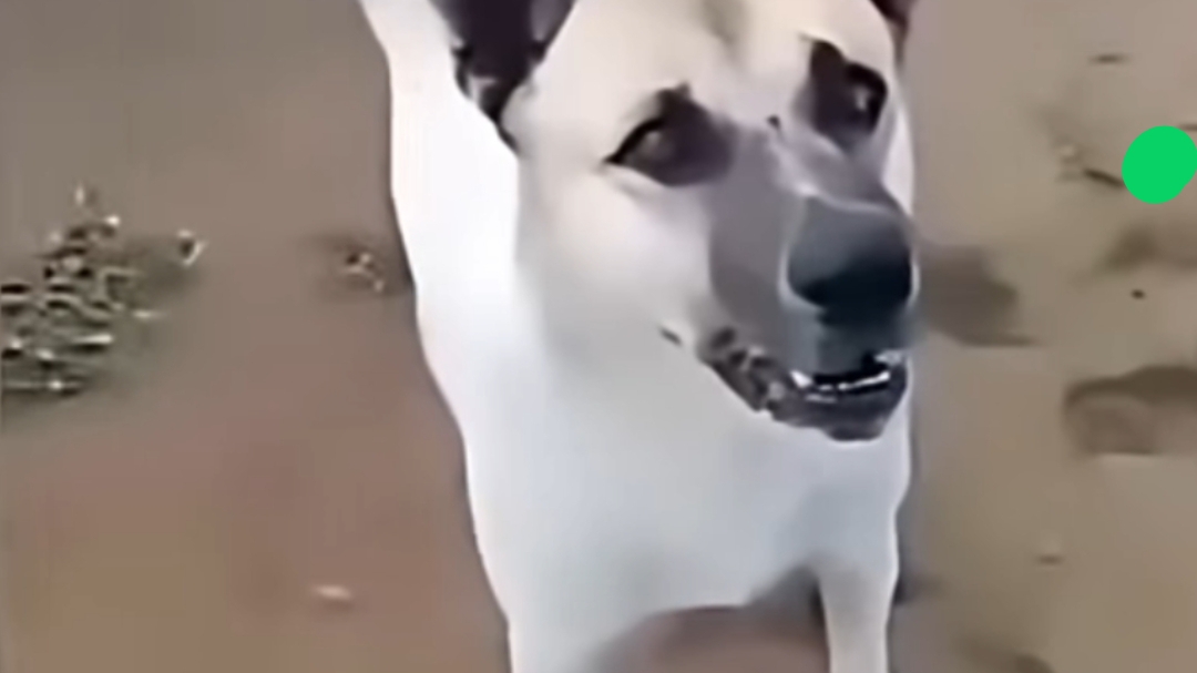 почему мужчины живут меньше женщин