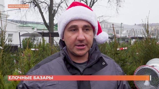 Ростовские елочные базары: цены на сосны, елки, пихты смотреть онлайн