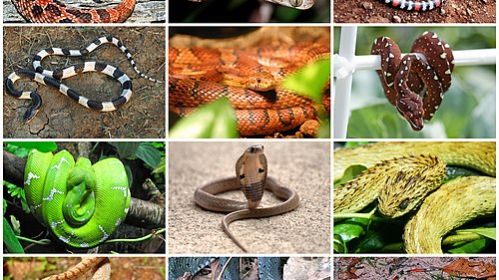 НОВАЯ ЗАПИСЬ : Отзывается о людях негативно. Промолчать о таком невозможно ПОДПИШИСЬ смотреть онлайн