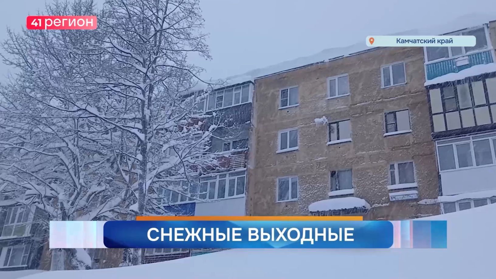 Новости Камчатки за 19 декабря 2025 года смотреть онлайн