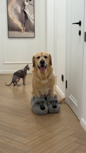 Это очень смешно😁