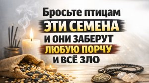 Бросьте птицам эти семена - и они заберут всё зло: примета, ритуал, как делать правильно