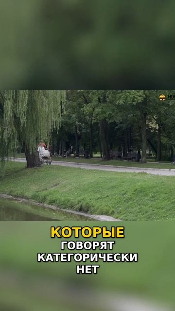 Новостройки рядом с кладбищами Кладбище и Ликвидность Как Влияет на Продажу Квартир смотреть онлайн