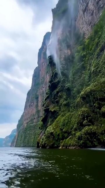 Исцеление исходит от природы 😍 смотреть онлайн