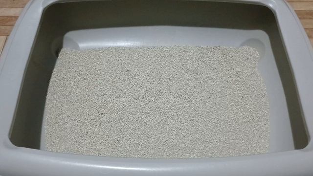 Как избавиться от запаха кошачьей мочи