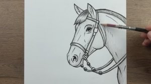 Как нарисовать Лошадь карандашом шаг за шагом - Как легко нарисовать животных