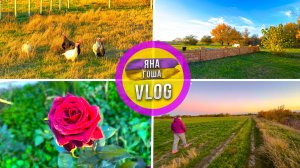 На календаре зима, а в Крыму только началась яркая осень!