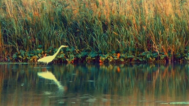 Одиночество смотреть онлайн