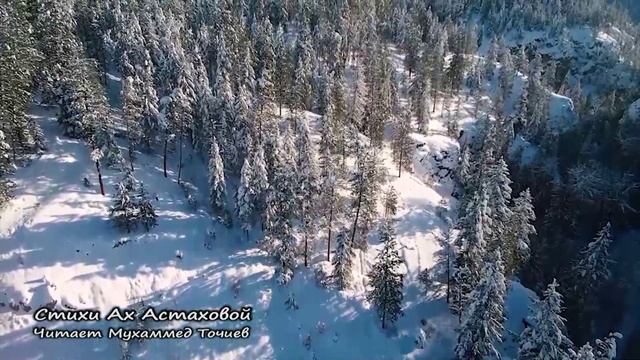 УТРО ИНГУШЕТИИ 22.12.25 смотреть онлайн