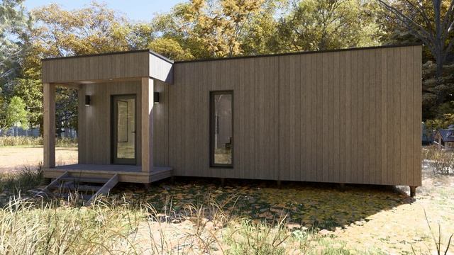 CleverHouse54+крыльцо смотреть онлайн