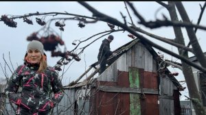 РУССКАЯ ДЕРЕВУШКА/ПОДГОТОВКА К ЗИМЕ/ДЕМОНТАЖ КРЫШИ/ПРОБУЕМ КОПТИТЬ МЯСО