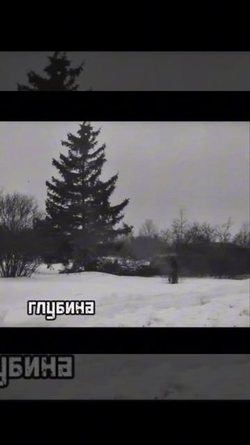 Тестирование БТР-152 в лесу. 1956 года смотреть онлайн