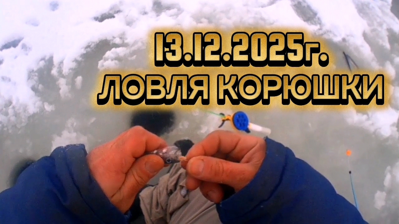 КОРЮШКА. ЛОВЛЯ КОРЮШКИ. 13.12.2025Г. НАЧАЛО ПОЛОЖЕНО! #рыбалка #fishing #корюшка #природа