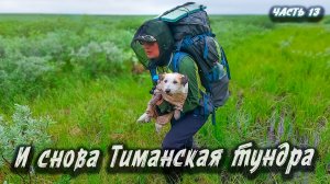 Пеший переход до Щучьей  | Северный Тиман 2025