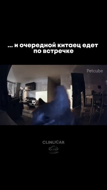 китаец #clinlicar #automobile #автоподборспб #автоподбормосква смотреть онлайн