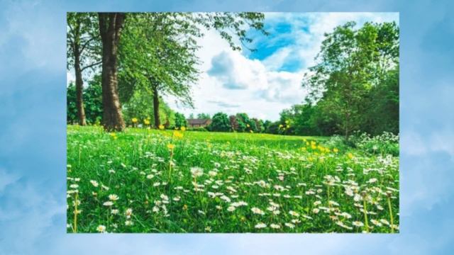 На облаках пушистых плыло лето