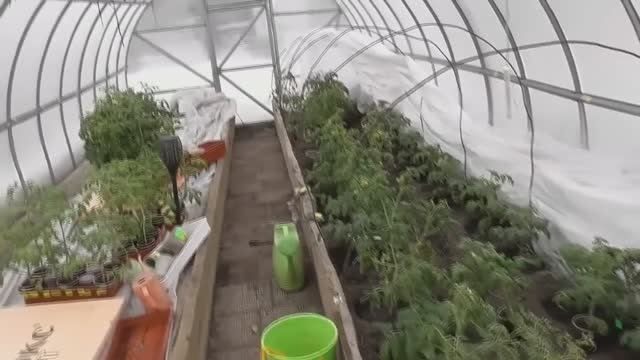 Ранняя высадка томатов в теплицу среди сугробов в марте 2022 года, Сибирский регион. Как это было. смотреть онлайн