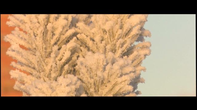 зарисовка - Арктический холод смотреть онлайн