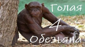 Голая Обезьяна IV : Подробности Эволюции
